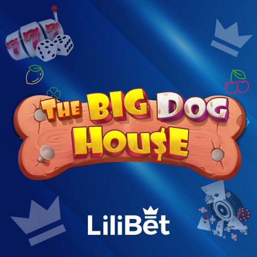 The big dog house
